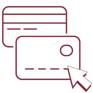 Credit Card Account Login Icon